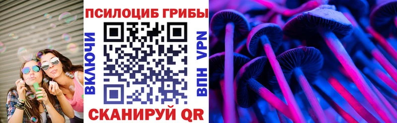 закладки  Ижевск  Галлюциногенные грибы мухоморы 