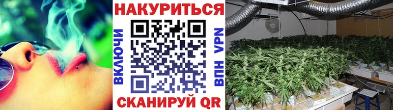 Бошки марихуана план  darknet формула  Ижевск  магазин  наркотиков 